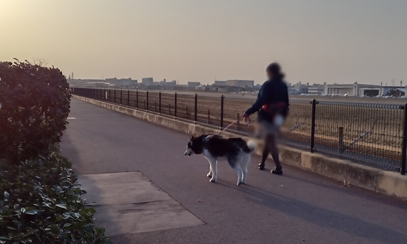 遊歩道を散歩する人