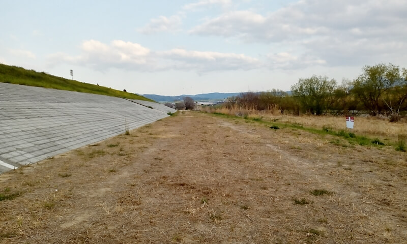 ずっと続く大和川の河原