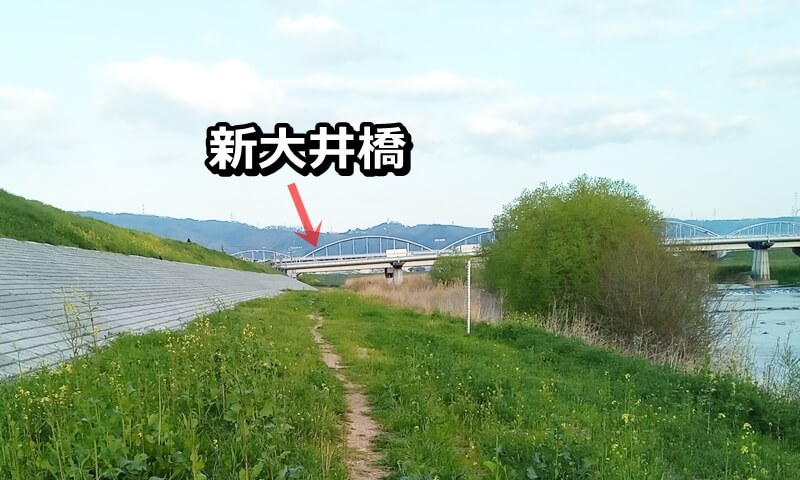 新大井橋