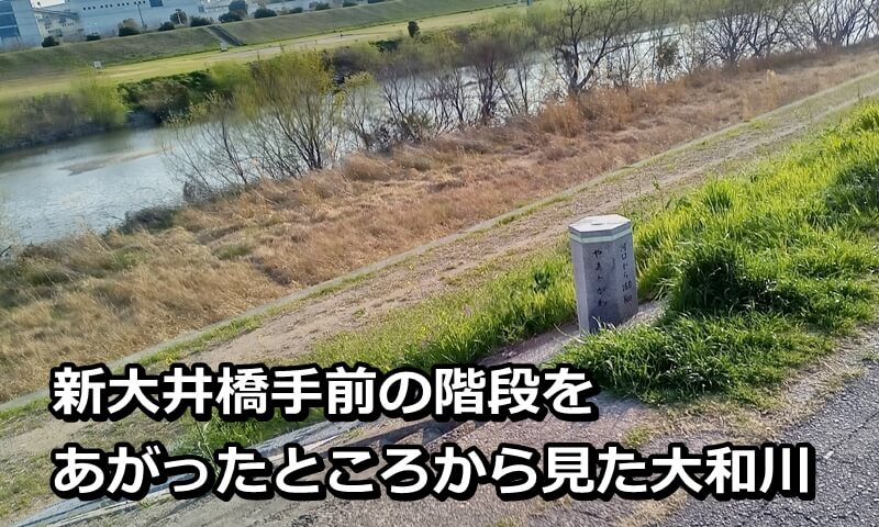 堤防を上がった場所から見た大和川