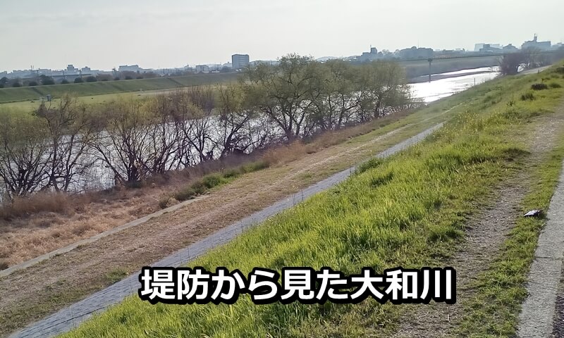 堤防から見た大和川