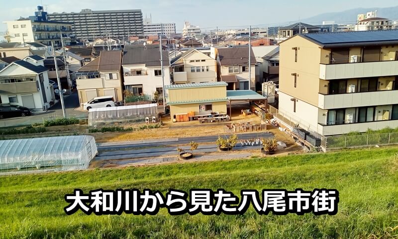 大和川の堤防から見た八尾市街