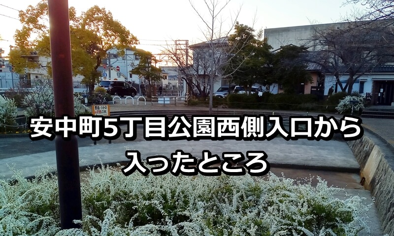 安中町5丁目公園西側入口から公園に入ったところ