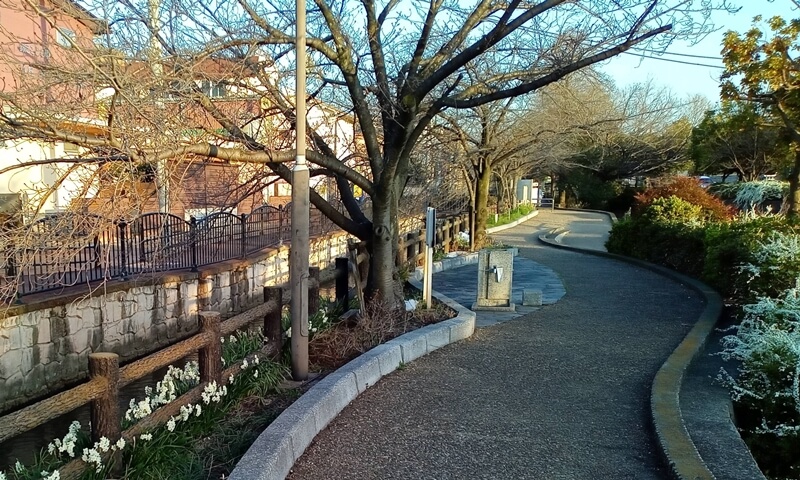 花壇の中にある遊歩道