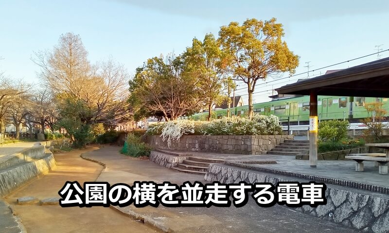 公園の横を並走する電車