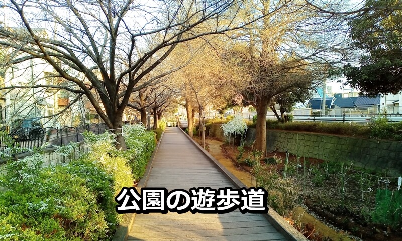 公園の遊歩道