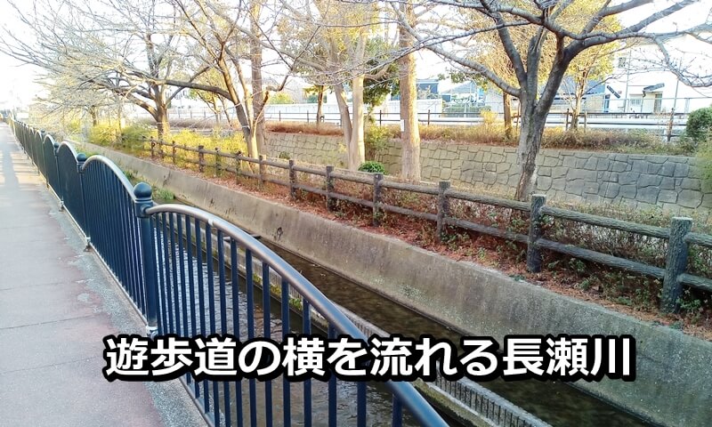 遊歩道の横を流れる長瀬川