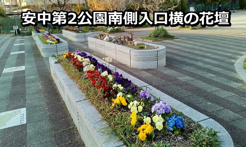 安中第2公園南側入口横の花壇